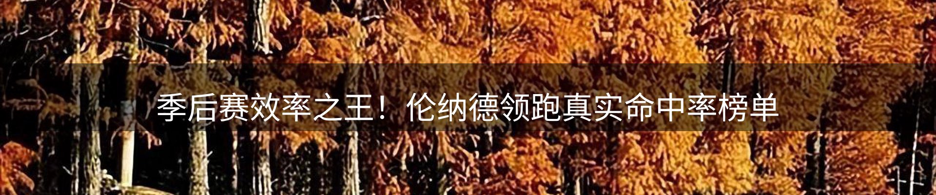 赛事资讯