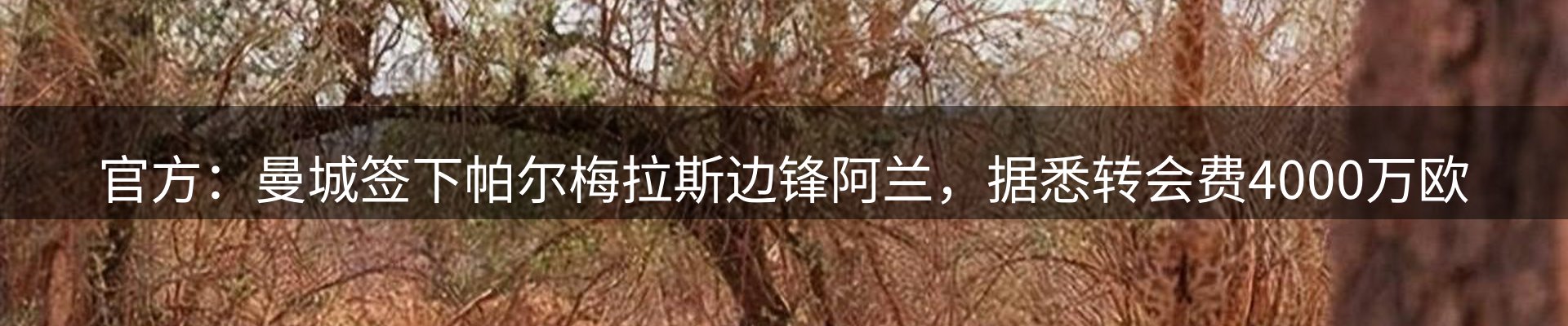 企业推荐